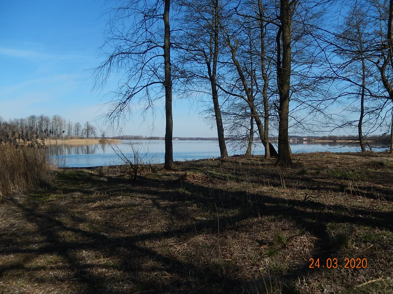 Widok na jezioro Selment Wielki przez drzewa przy brzegu